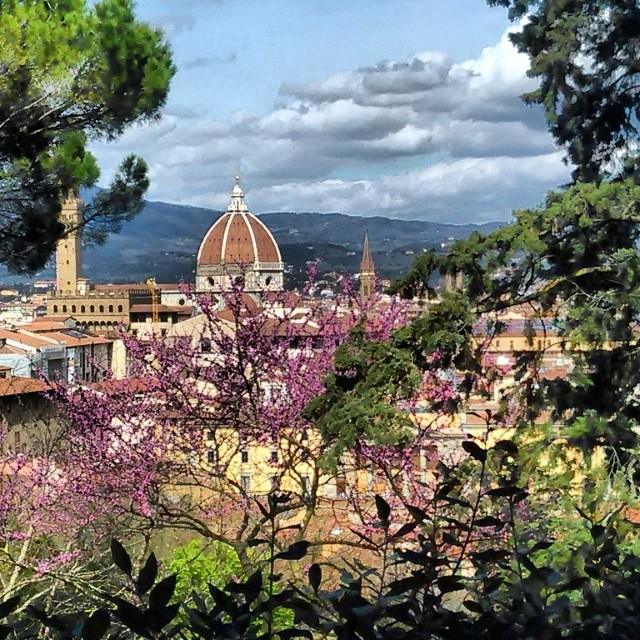 Things to do in Florence in Spring