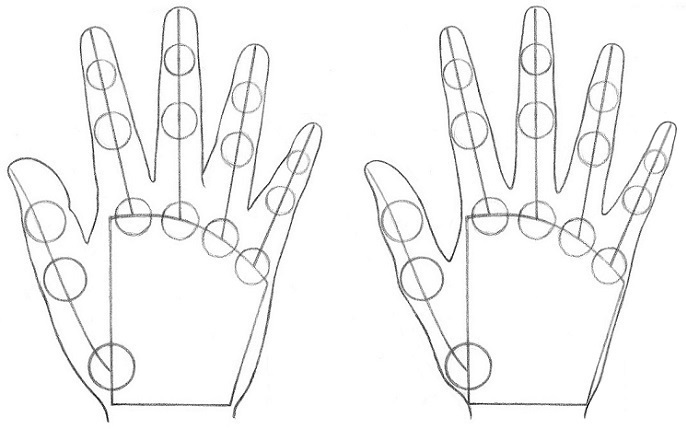 How to Draw Hands Step 7